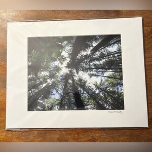 Tina McAuley "View from the Hammock" Matted Photo Print - 11x14 new